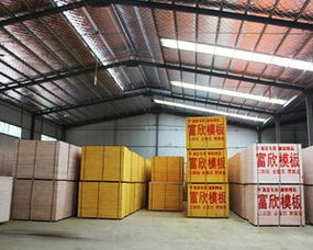 探寻江苏建筑模板领军厂家 富欣木业制品厂的实力与优势