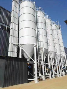 德兴瓷砖胶厂家供应 佛山市托肯建材有限责任公司打造优质建筑材料